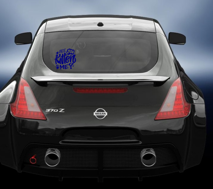 Are you Kitten Me vinyl Decal