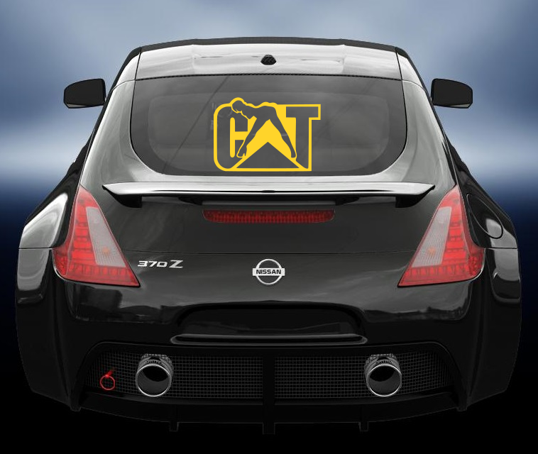 Copy of Cat girl 2 vinyl 4wd sticker/decal