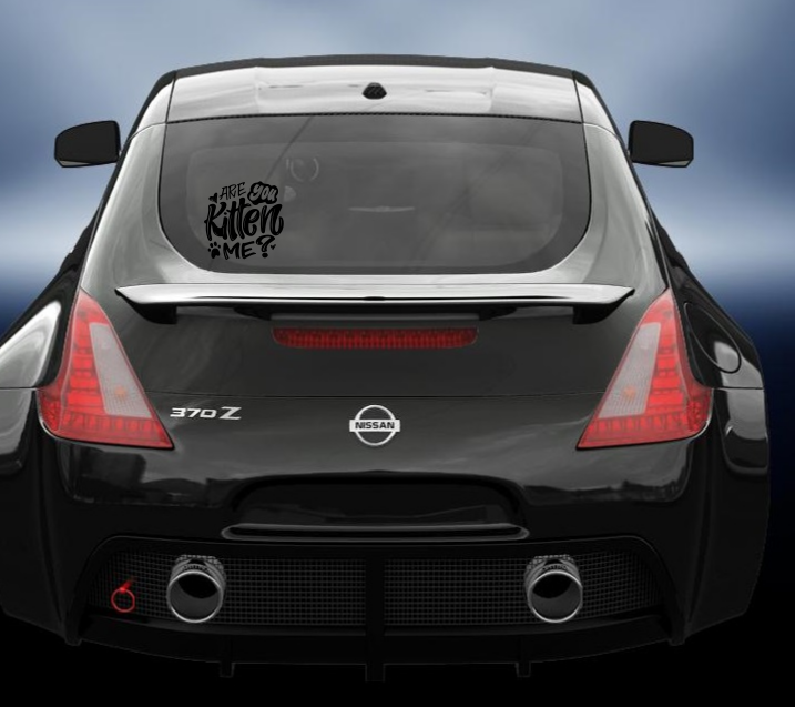 Are you Kitten Me vinyl Decal